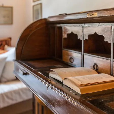 Ca' Tintoretto Canal View 公寓 威尼斯